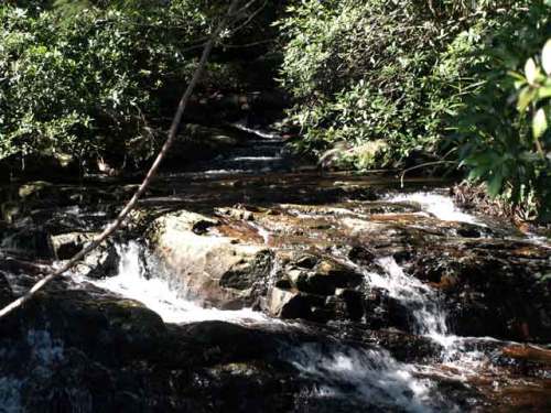 Top of Twin Falls, where the 4 creeks meet